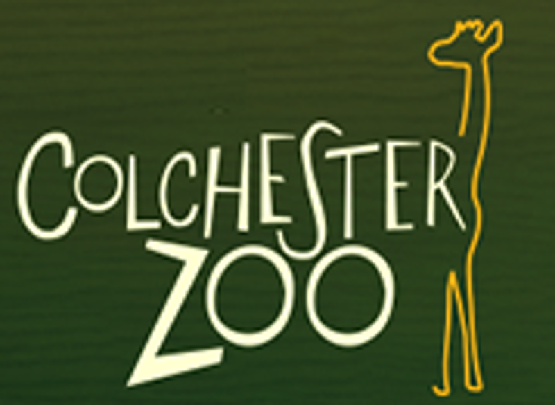 Colchester Zoo Coupons
