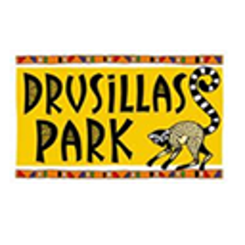 Drusillas Park Coupons